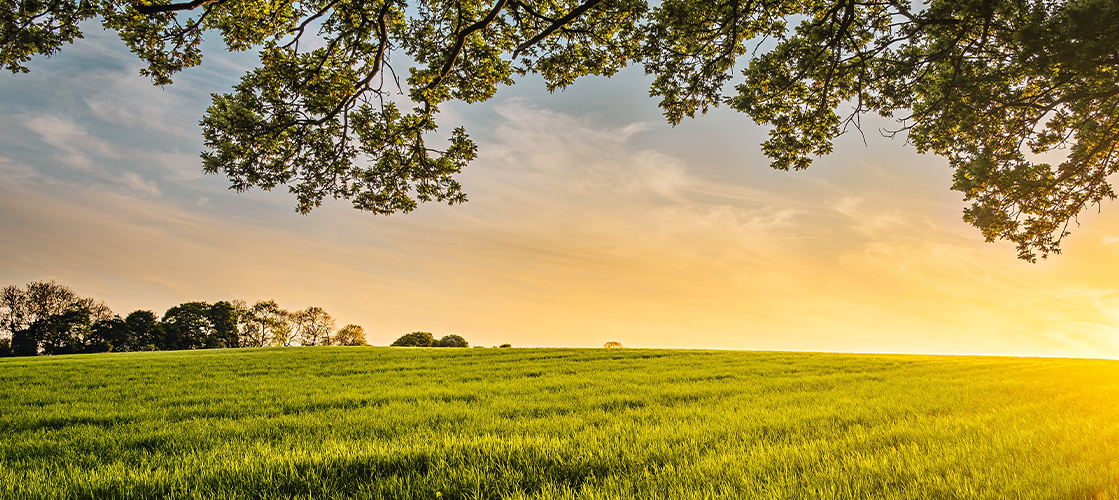 We work to ensure an environmentally responsible production chain