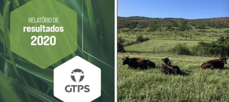 GTPS lança Relatório de Resultados 2020