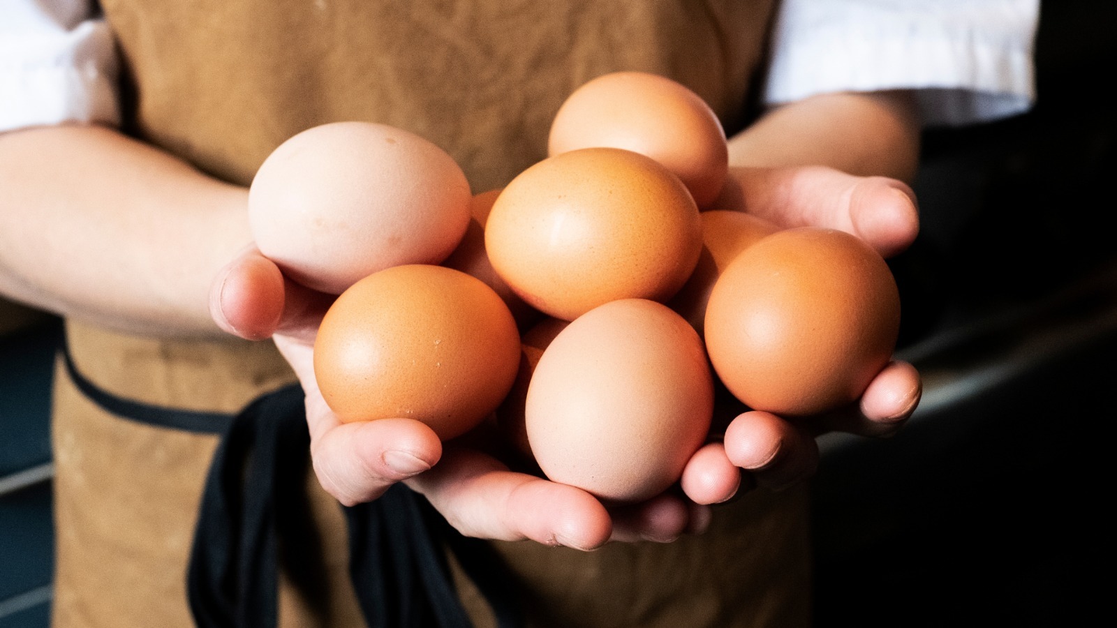 Seguimos avanzando en el compromiso de adquirir huevos de gallinas libres de jaula