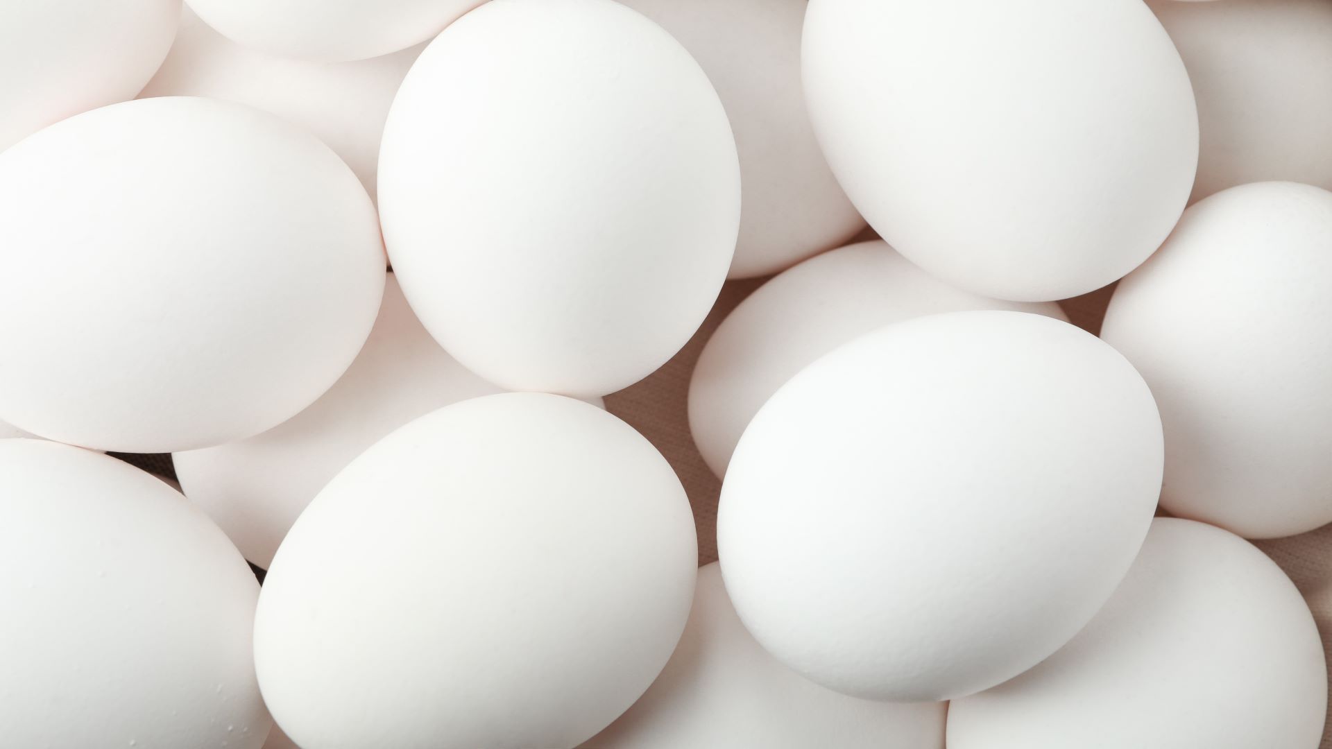 [Puerto Rico] El 100% de los huevos frescos de cascarón utilizados en el menú de McDonald’s son de gallinas libres de jaula