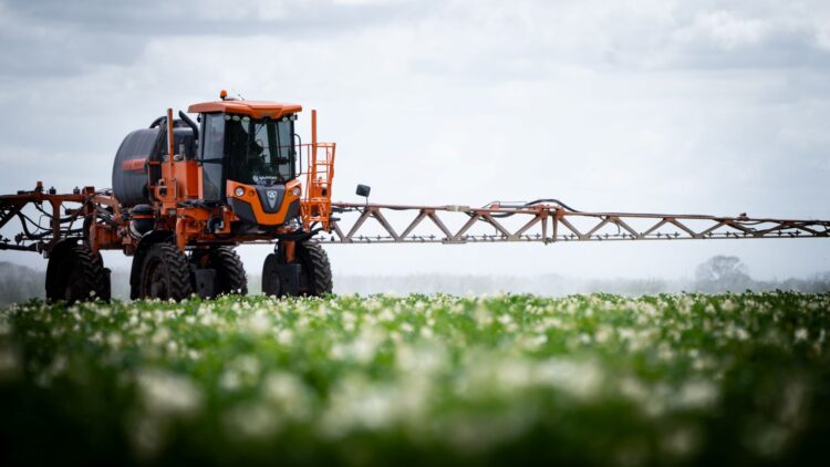 [Argentina] Del origen a la mesa: McDonald’s cuenta el origen de sus vegetales más frescos