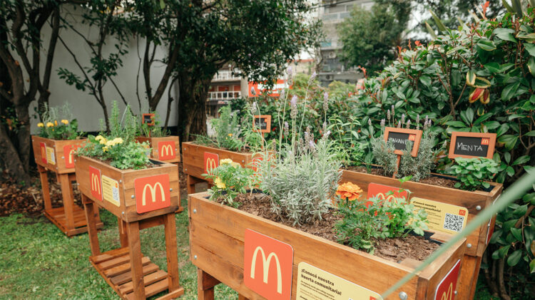 [Argentina] Arcos Dorados inaugura su primera huerta sostenible: un espacio educativo para transformar residuos en valor