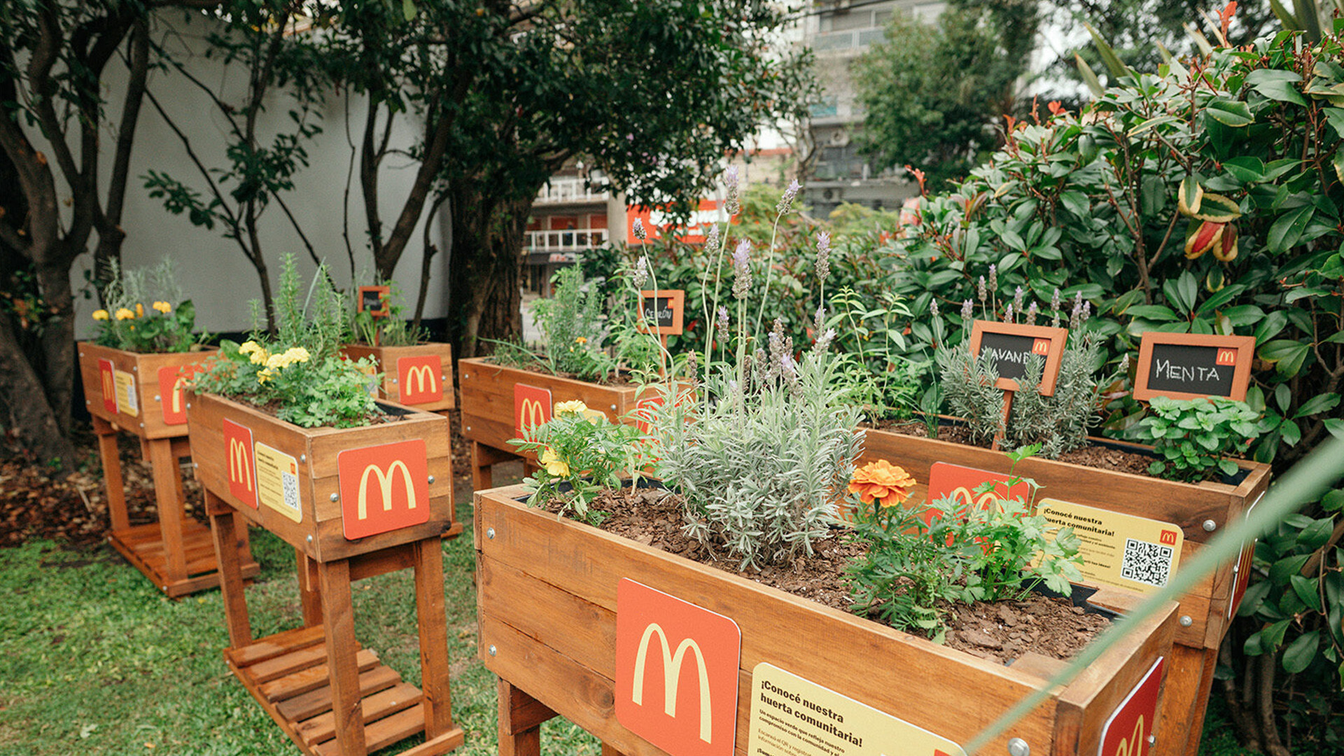 Cultivar el cambio: una huerta que siembra futuro