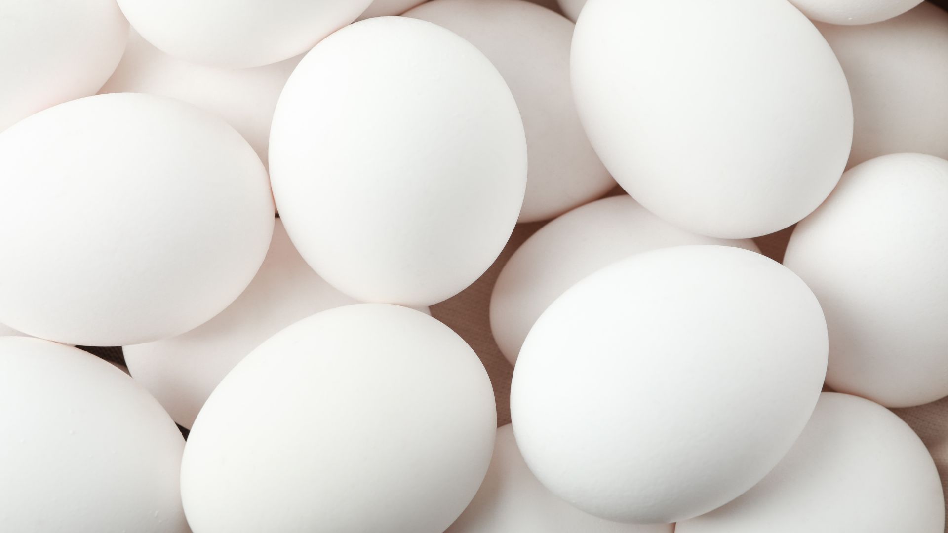 Huevos frescos libres de jaula: nuestro compromiso en la región